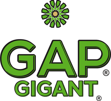 Gap Gigant